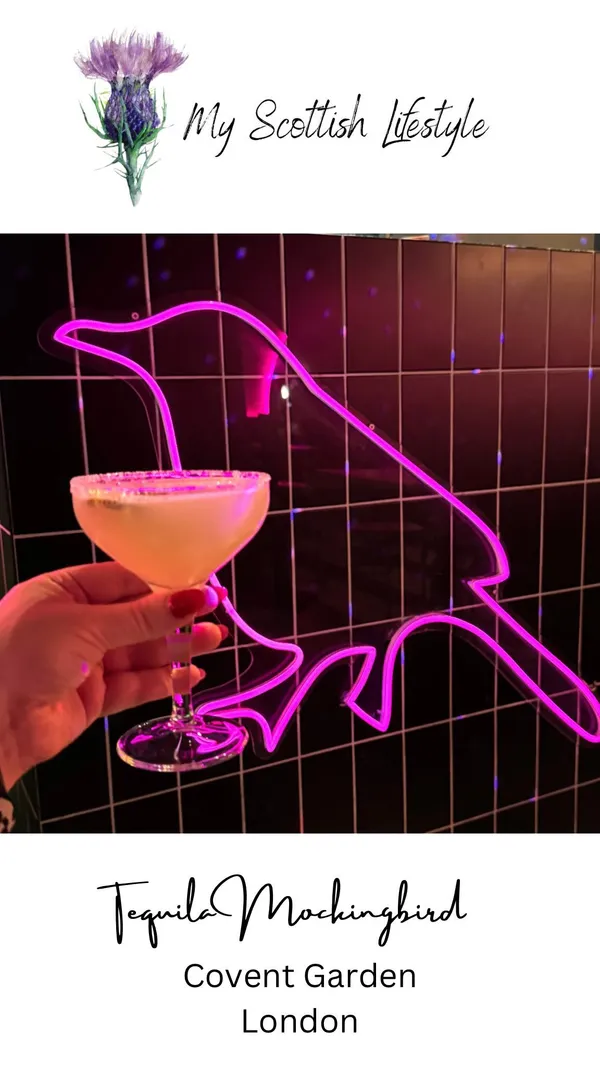 This TikTok video showcases Tequila Mockingbird, a bar in Covent Garden, London. It features various cocktails, including margaritas, mojitos, and other mixed drinks. The video highlights the bar's happy hour deals (2-4-1) and shows the vibrant atmosphere.  The presentation emphasizes the colorful drinks and the lively setting.