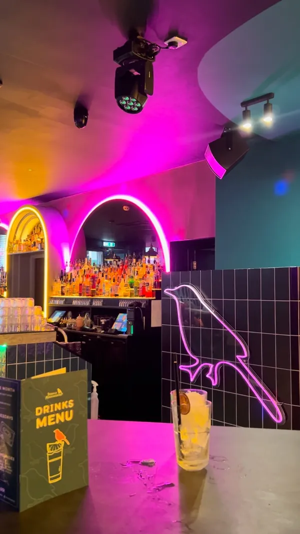 This video showcases Tequila Mockingbird, a cocktail bar in Covent Garden, London. It highlights the bar's vibrant atmosphere, featuring neon signs, funky lights, and a lively ambiance. Various cocktails are presented, including the Berries n' Cream, Mockingbird Margarita, Banana Blazer, and Mockingbird Zombie. The video emphasizes the happy hour deals and the bar's suitability for socializing and having a good time. The focus is on the drinks and the bar's atmosphere.