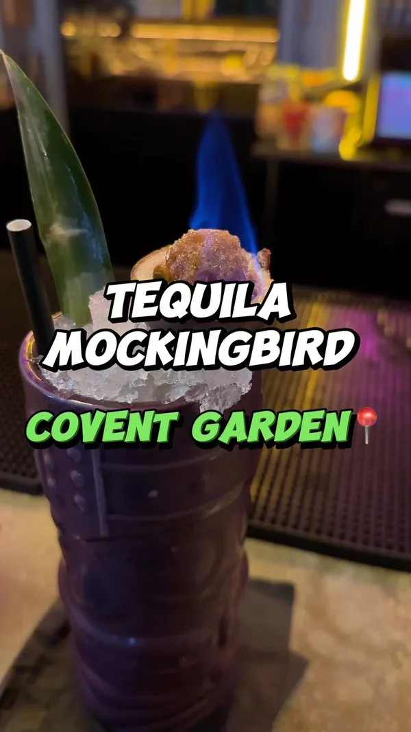 The video showcases the Tequila Mockingbird bar in Covent Garden, London.  It focuses primarily on the preparation and presentation of two cocktails: the Tequila Mockingbird and the Caribbean Sailor.  Both cocktails feature rum and pineapple, with the Mockingbird having a more visually striking presentation that includes a flambéed passion fruit. The video also briefly shows the bar's interior and the bartender's skillful cocktail making techniques.