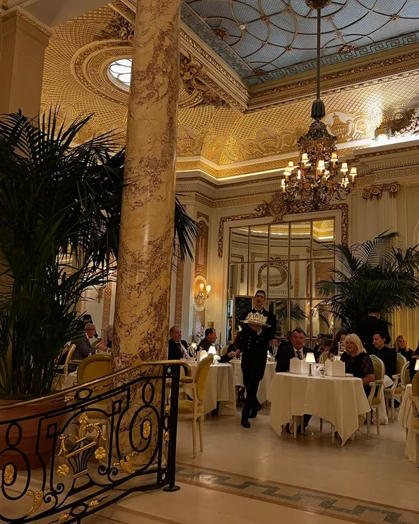 November highlights ✨❄️📸🍸 aka things I’ve consumed lately