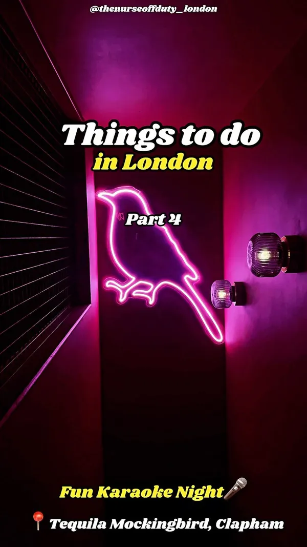The video showcases a karaoke night at Tequila Mockingbird in Clapham, London.  It highlights the private karaoke rooms with their own bars, showcasing various cocktails and a group of friends enjoying themselves. The video also shows examples of food being brought in by the customers. The main focus is on the fun and social experience of the karaoke night.