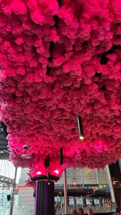 Delicious stir fry noodles, crispy tacos, and churros at Blossom Room, Milton Keynes, perfect for food lovers and Instagram.