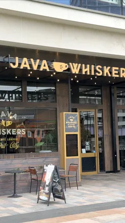 Guests enjoying food and beverages in a cozy cat lounge at Java Whiskers Cat Café, surrounded by playful cats.