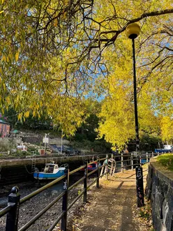 Sunny autumn afternoon in Ouseburn, Newcastle, showcasing golden leaves and vibrant blue skies.