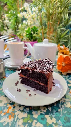 Plant shopping at Birchengrove Garden Centre with tea and cake from Jane's Garden Cafe in London, featuring anemone and tradescantia.