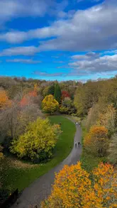 A fast-paced guide to spending a morning in Jesmond, featuring a variety of local cafes, independent shops, and a scenic walk through Jesmond Dene.