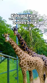 A short, montage-style video showcasing various animals at Dudley Zoo, including snow leopards, tigers, giraffes, and meerkats, overlaid with text promoting a 'Kids go free' offer for the February half-term.
