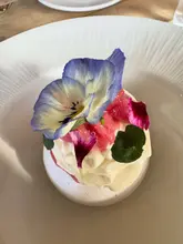 A high-quality, top-down shot of a beautifully plated rhubarb custard pavlova, garnished with edible flowers and herbs, served on a white plate.