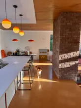 A high-quality, well-lit photograph of a modern home interior featuring a dog in the center of the frame. The image captures a warm, inviting atmosphere with natural light hitting a brick wall and wooden ceiling.