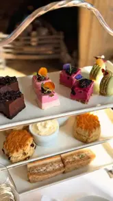 A short, aesthetic reel showcasing an afternoon tea experience at Beechfield House near Bath, featuring shots of the tea selection, the food presentation, and the hotel's grounds.