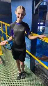 A video showing a person participating in a shark diving experience at Sea Life London, followed by shots of sharks and penguins in their enclosures.
