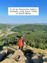 A bright, clear, and inviting outdoor photograph featuring a hiker and their dog overlooking a scenic landscape in South Wales. The image effectively uses a text overlay to introduce a listicle-style travel guide, making it clear and engaging for the target audience of families interested in outdoor activities.