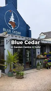 Scenic outdoor cafe at Blue Cedar Landscapes garden centre in Ballynahinch, NI. Serving coffee, sweet treats, breakfast & lunch.