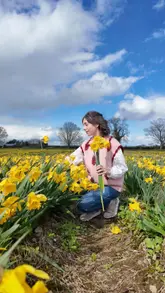A travel vlog showcasing a visit to Elm Grove Farm in County Meath, Ireland, where visitors can pick their own daffodils during the spring season.