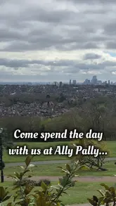A family day out at Alexandra Palace, featuring a visit to The Phoenix pub for lunch, a pedalo ride on the boating lake, time at the playground, and an ice skating session.