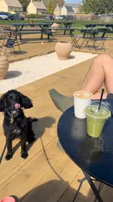 A short, handheld tour of a farm shop and cafe, showcasing the various sections including the produce, meat counter, flower display, and outdoor seating area. The video captures the relaxed, rustic vibe of the venue, highlighting it as a pleasant spot for a Saturday morning visit.