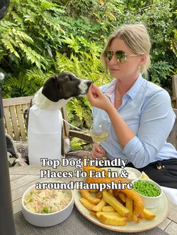 Jess the dog and a person enjoying food and drinks at a cozy, dog-friendly restaurant, highlighting top spots to visit.