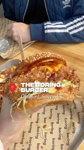 A review of 'The Boring Burger' in Guildford, featuring a smash burger with brisket and a crispy chicken burger, along with katsu fries.