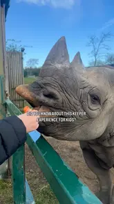 A vlog-style video documenting a 'keeper experience' at Howletts Wild Animal Park. The creators are shown participating in various activities, including feeding rhinos, lemurs, and monkeys, and getting behind-the-scenes access to gorilla enclosures. The video highlights the educational and interactive nature of the experience, guided by an expert keeper.