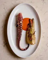 A high-end, minimalist food photograph featuring a single grilled octopus tentacle served alongside a piece of charred fennel and a vibrant orange sauce. The composition is clean and deliberate, set against a neutral, textured background, emphasizing the precision and artistry of the dish.
