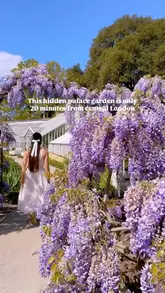 A short, aesthetic montage showcasing the wisteria bloom at Fulham Palace, featuring the historic architecture and garden grounds, with a brief glimpse of the on-site cafe.