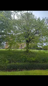 A detailed tour of Lumley Castle, highlighting its historic architecture, luxurious rooms, and dining options. The video provides a walkthrough of the property, including the restaurant and bedroom, while sharing some of the castle's ghost stories.