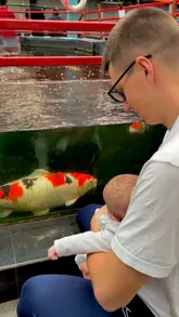 A handheld vlog featuring a parent and baby visiting Shirley Aquatics to look at fish and reptiles. The video highlights the interactive nature of the venue, specifically the koi feeding, and positions it as a budget-friendly family activity.
