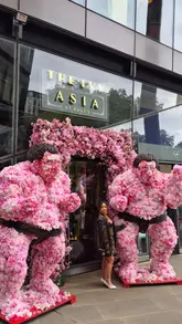 A high-quality promotional video for The Ivy Asia in St Paul's, featuring the venue's striking cherry blossom decor, views of St Paul's Cathedral, and a variety of Pan-Asian dishes and cocktails.