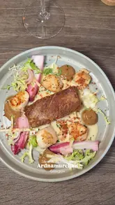 A couple visits Ardnamurchan in Glasgow, reviewing their experience. They showcase a variety of dishes including scallops with pork belly, wild venison, and a tablet chocolate ice dessert, alongside cocktails and beer. The video features the creators on camera providing their recommendations.