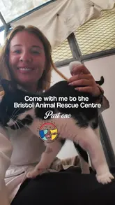 A vlog-style video featuring a creator visiting the Bristol Animal Rescue Centre to promote a charity 10k run. The video includes interviews with staff, interactions with various animals, and a tour of the facility.