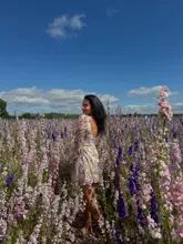 A bright, well-composed photograph of a person standing in a vibrant field of delphiniums at The Confetti Flower Fields in Worcestershire, capturing a picturesque day trip destination.