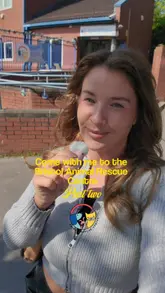 The creator visits the Bristol Animal Rescue Centre to showcase the animals, including cats, rabbits, a ferret, and a dog, while discussing the importance of the charity and encouraging donations.