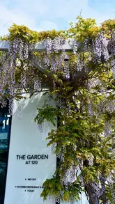 A short, aesthetic montage showcasing the wisteria and city skyline views at The Garden at 120 in London, presented as a travel recommendation.