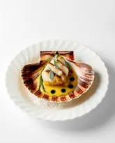 A high-quality, professional studio shot of a single, beautifully plated scallop dish served in a shell on a bed of salt. The lighting is soft and even, highlighting the textures of the seared scallop and the vibrant sauce, creating a clean, minimalist aesthetic suitable for a fine dining restaurant.