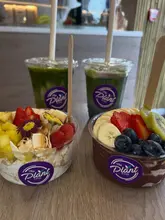 A promotional shot of two smoothie bowls and two matcha lattes from The Plant Blends, featuring fresh fruit toppings and branded packaging on a wooden table.