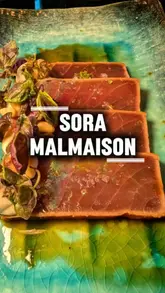 A promotional reel for a Japanese food takeover at Malmaison in Brighton Marina, featuring a variety of dishes from a tasting menu, including sashimi, sushi, and small plates, set against a waterside backdrop.