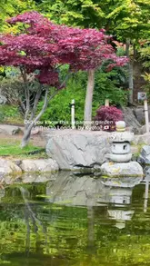 A montage of clips showcasing the Kyoto Garden in Holland Park, London, highlighting the waterfalls, koi pond, and Japanese-inspired landscaping.