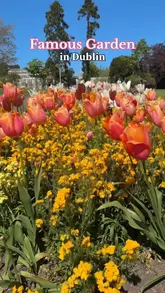 A montage of the National Botanic Gardens in Dublin, showcasing various flower beds, glasshouses, and the scenic grounds.