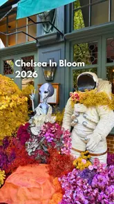 A montage video showcasing various space-themed floral installations across Chelsea, London, as part of the Chelsea in Bloom festival. The video highlights the creativity and scale of the displays, encouraging viewers to visit.