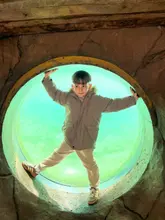 A photo of a young boy posing inside a circular viewing window, likely at an aquarium or similar family-friendly attraction.
