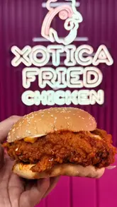 A creator reviews various menu items at Xotica Fried Chicken, including a spicy dipped chicken burger, fried chicken pieces, a peri peri chicken wrap, and a double beef burger. The video features the creator tasting the food, commenting on the quality and heat levels, and showing the interior of the shop.