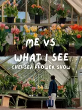 A high-quality, aesthetically pleasing lifestyle shot taken at the Chelsea Flower Show. The image features a person standing in a greenhouse filled with vibrant tulips, utilizing a 'Me vs What I see' text overlay format to showcase the environment.