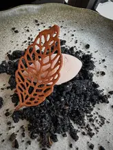 A high-quality, top-down shot of a sophisticated dessert featuring a delicate, leaf-shaped tuile resting on a scoop of gelato, set against a dramatic charcoal crumb base. The presentation is artistic and refined, typical of a fine-dining tasting menu.