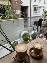 A cozy, well-composed shot of two coffees with latte art on a wooden table, featuring a dog in the background and disco ball decor, capturing a relaxed cafe atmosphere.