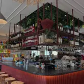 A wide-angle interior shot of the bar area at Domo in Leeds, showcasing the restaurant's decor, including a prominent overhead bottle display, hanging greenery, and a warm, inviting atmosphere. The image captures the bar counter, seating, and the general layout of the venue, providing a clear sense of the space.