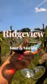 The video documents a group visit to Ridgeview vineyard, showcasing the estate, the wine production process, a wine tasting session, and a lunch at the onsite restaurant, The Rows & Vine.