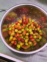 A high-angle, close-up shot of a metal colander filled with freshly picked 'Hinnonmäki' gooseberries, displaying a vibrant mix of green and reddish-purple hues. The berries are sharp and well-lit, resting against a translucent, textured greenhouse surface that provides a rustic, natural backdrop.