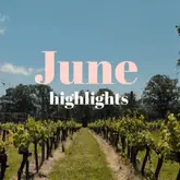 A bright, well-composed landscape shot of a vineyard, used as a cover image for a monthly highlights post. The image uses strong leading lines to draw the eye into the scene, creating an inviting and scenic atmosphere.