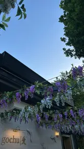 A montage showcasing the food and drinks at Gochu, featuring dishes like bao buns, sushi, and cocktails in a bright, outdoor setting.