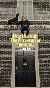 A promotional reel showcasing a visit to the Museum of Illusions in London during their 'Dog Days' event, highlighting the interactive exhibits and the dog-friendly policy.